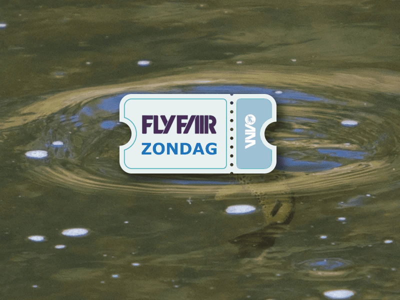 FlyFair Zondag